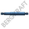 BERGKRAFT BK6700022 Shock Absorber